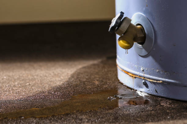 Best Flooded house restoration  in Premont, TX