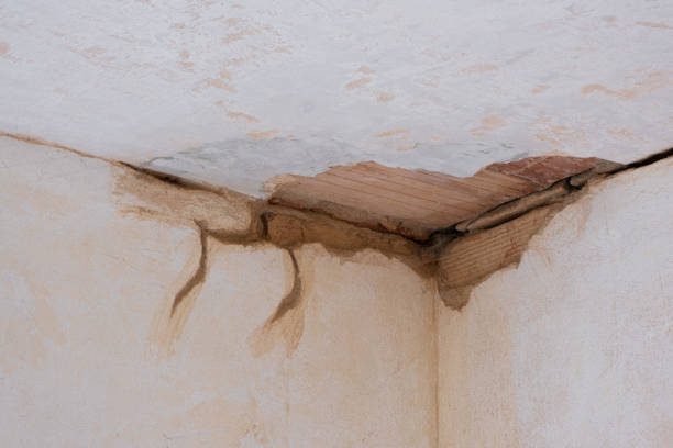 Best Flood damage cleanup  in Premont, TX