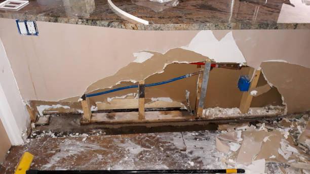 Best Water damage mitigation services  in Premont, TX