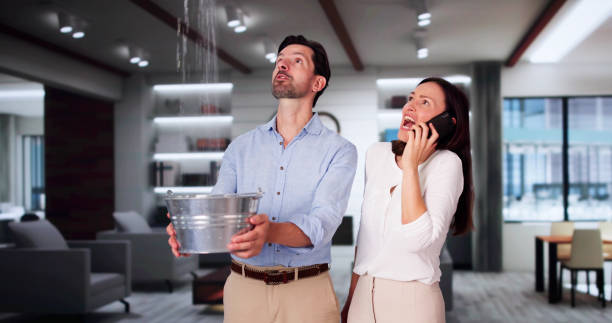Best Local water damage restoration  in Premont, TX